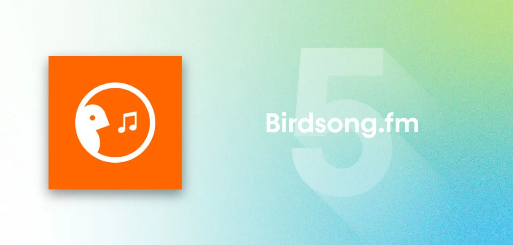 An image depicting the artwork for Birdsong.fm