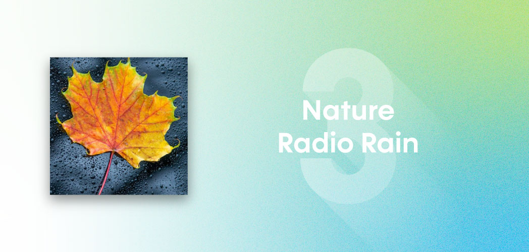 An image depicting the artwork for Nature Radio Rain