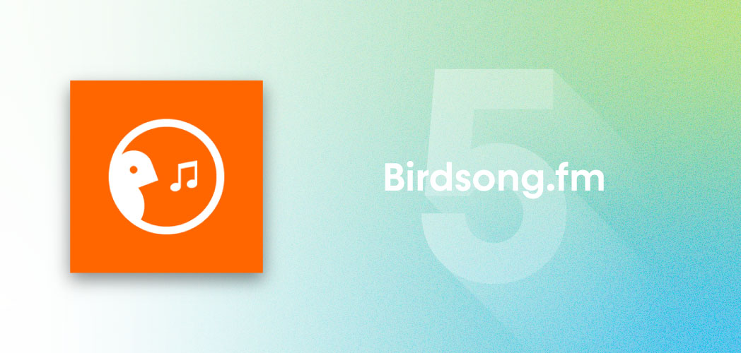 An image depicting the artwork for Birdsong.fm